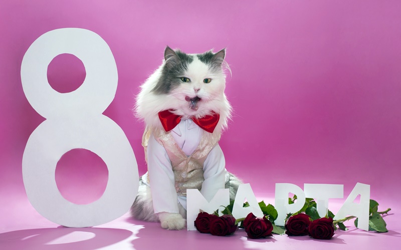 С Днем 8 Марта!